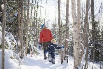 Uomo e figlio alzano lo sguardo mentre camminano sulla foresta invernale — Foto stock