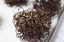 Goldbeschichtete Schokolade Nestkuchen Dekoration — Stockfoto