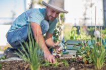 Junger Mann pflegt Pflanzen im Garten — Stockfoto