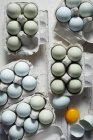 Вид зверху блакитні і зелені курячі яйця в лотках — стокове фото