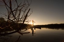 Uomo pagaia imbarco in acqua al tramonto — Foto stock