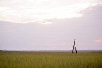 Far view of Man holding surfboard when standing in green field — стоковое фото