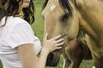 Young woman petting horse, mid section, close-up — Stock Photo