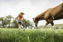 Молодая женщина ведет лошадь через поле, вид сзади, вид с низкого угла — стоковое фото
