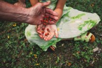 Vater und Tochter im Freien, Beeren sammeln, Nahaufnahme — Stockfoto