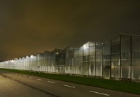 Estufa à noite, em Westland, área com a maior concentração de estufas nos Países Baixos — Fotografia de Stock