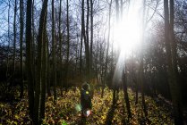 Niño parado en el bosque, mirando el sol a través de los árboles - foto de stock