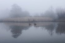 Vistas panorámicas del lago con niebla, Houghton-le-Spring, Sunderland, Reino Unido - foto de stock