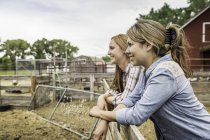 Две молодые женщины, выглядывающие из забора ранчо, Бриджер, Монтана, США — стоковое фото