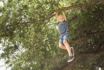 Bajo ángulo vista de sonriente chico colgando de la rama del árbol y mirando a la cámara - foto de stock