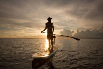Homem em pé na prancha de remo na água, ao pôr do sol — Fotografia de Stock