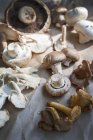 Vista de cerca de la variedad de deliciosos hongos frescos crudos - foto de stock