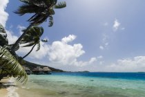 Palmeras y lejanas casas balnearias, Bora Bora, Polinesia Francesa - foto de stock