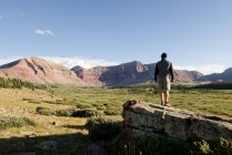 Male hiker looking out over landscape and mountains, Wasatch-Cache National Forest, Utah, USA — Stock Photo