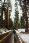 Joven caminante masculino caminando por la carretera rural en el nevado Parque Nacional Sequoia, California, EE.UU. - foto de stock