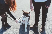Cropped view of couple playing with dog — Stock Photo