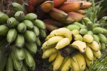 Бананы для приготовления пищи, крупным планом, Бирайи, Бужумбура, Бурунди, Африка — стоковое фото