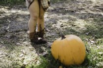 Cropped view of girl with pumpkin — Stock Photo