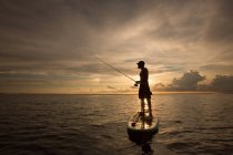 Homme debout sur une planche à pagaie dans l'eau, au coucher du soleil — Photo de stock