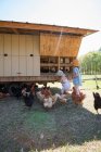 Две молодые девушки на ферме, собирают яйца из курятника — стоковое фото