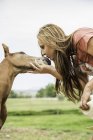 Portrait of young woman kissing foal — Stock Photo