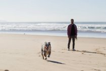 Чоловік грає з собакою на піщаному пляжі — стокове фото