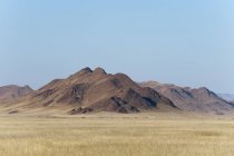 Kulala пустелі заповідника, Наміб, Намібія — стокове фото