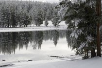 Река Йеллоустоун зимой, Национальный парк Йеллоустоун, штат Вайоминг, США — стоковое фото