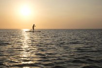 Vista lateral do homem em pé no paddleboard ao pôr do sol — Fotografia de Stock