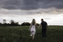 Rückansicht des romantischen Paares Händchen haltend im Feld — Stockfoto