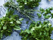 Selection of herbs in bunches, overhead view — Stock Photo