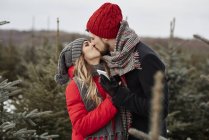 Romántica pareja joven besándose mientras compra árbol de navidad del bosque - foto de stock