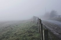 Cerca a lo largo de la carretera en el entorno rural, con niebla, Houghton-le-Spring, Sunderland, Reino Unido - foto de stock