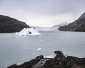Iceberg galleggiante sul lago e ghiacciaio Grey, Parco nazionale Torres del Paine, Cile — Foto stock