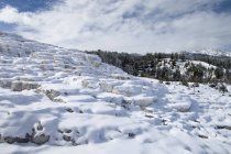Горячие источники мамонтов под снегом, Национальный парк Йеллоустоун, штат Вайоминг, США — стоковое фото