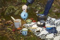 Женщина-турист разливает чай в лесу, Колгейт Лейк Дикий лес, Кэтскилл Парк, штат Нью-Йорк, США — стоковое фото