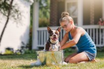 Дівчина миє собаку у відрі на відкритому повітрі — стокове фото
