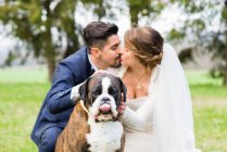 Portrait of bride and bridegroom with dog — Stock Photo