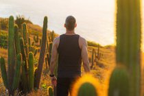 Vista trasera del hombre mirando a la vista por cactus, Parque Nacional Jericoacoara, Ceara, Brasil - foto de stock