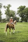 Giovane donna a cavallo, vista posteriore — Foto stock