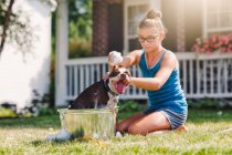 Girl washing dog in bucket outdoor — Stock Photo