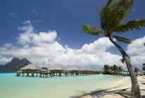 Palm trees and beach resort stilt houses, Bora Bora, Polinesia Francesa - foto de stock
