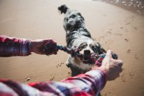 Uomo e cane che giocano con la corda sulla spiaggia, prospettiva personale — Foto stock