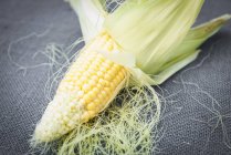 Кукуруза на початке, крупным планом — стоковое фото