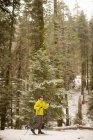 Ski de fond masculin dans le parc national Sequoia, Californie, États-Unis — Photo de stock