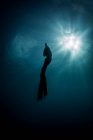 Vista submarina de la hembra buzo libre silueta moviéndose hacia los rayos del sol, Nueva Providencia, Bahamas - foto de stock