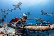 Vista subaquática do mergulhador feminino em biquíni olhando para os tubarões recifais, Bahamas — Fotografia de Stock