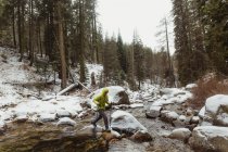 Young male hiker stepping over river rocks in snowy forest, Sequoia National Park, California, USA — Stock Photo