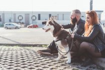 Jovem casal sentado com cão ao ar livre — Fotografia de Stock