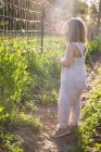 Chica joven en la granja, mirando a través de la cerca de alambre - foto de stock